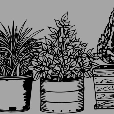 PLANT03 Thumbnail