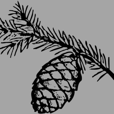 PCONE02 Thumbnail