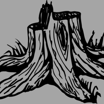 TIMBER09 Thumbnail