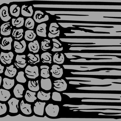 TIMBER11 Thumbnail