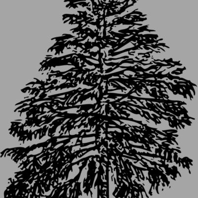 TREE0009 Thumbnail