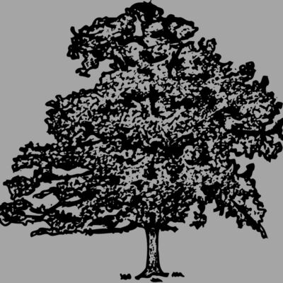 TREE0013 Thumbnail
