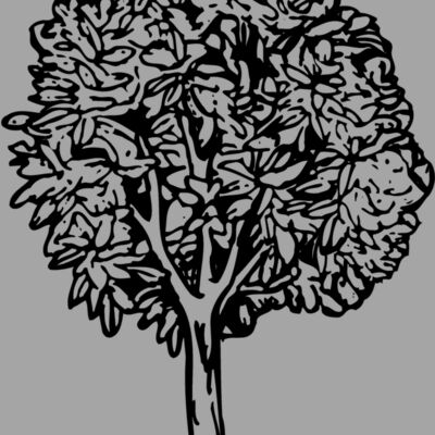 TREE0014 Thumbnail