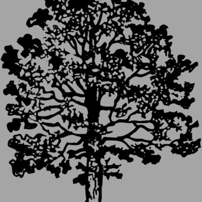 TREE0016 Thumbnail