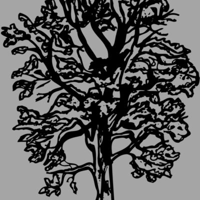 TREE0018 Thumbnail