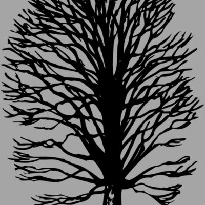 TREE0019 Thumbnail
