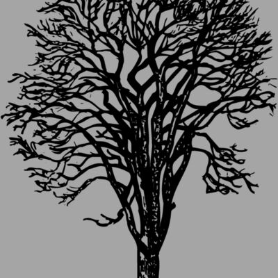 TREE0022 Thumbnail