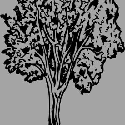 TREE0024 Thumbnail