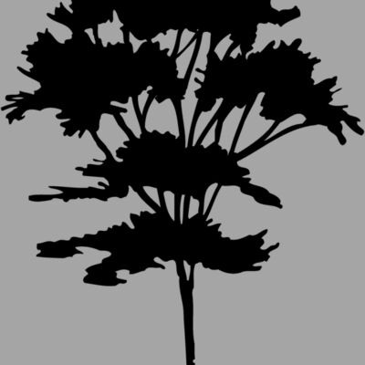 TREE0025 Thumbnail
