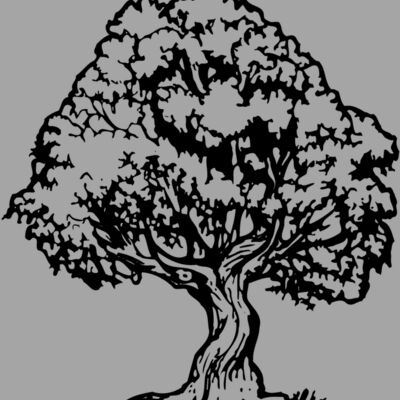 TREE0026 Thumbnail