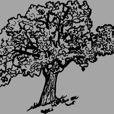 TREE0027 Thumbnail