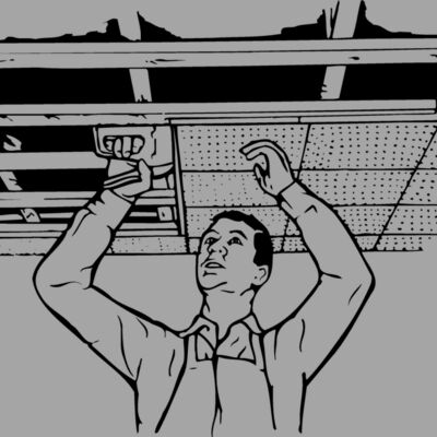 CARP008 Thumbnail