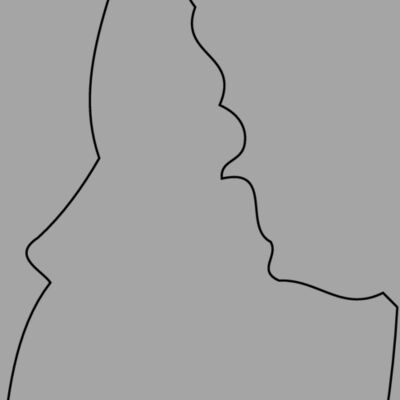 IDAHO Thumbnail