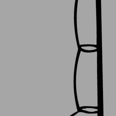 FISHNG01 Thumbnail
