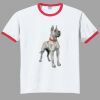 Ultra Cotton ® Ringer T Shirt Thumbnail