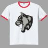 Ultra Cotton ® Ringer T Shirt Thumbnail