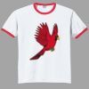 Ultra Cotton ® Ringer T Shirt Thumbnail