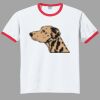 Ultra Cotton ® Ringer T Shirt Thumbnail