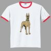 Ultra Cotton ® Ringer T Shirt Thumbnail
