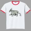 Ultra Cotton ® Ringer T Shirt Thumbnail