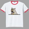 Ultra Cotton ® Ringer T Shirt Thumbnail