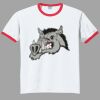 Ultra Cotton ® Ringer T Shirt Thumbnail