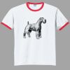 Ultra Cotton ® Ringer T Shirt Thumbnail