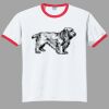 Ultra Cotton ® Ringer T Shirt Thumbnail