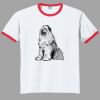 Ultra Cotton ® Ringer T Shirt Thumbnail