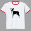 Ultra Cotton ® Ringer T Shirt Thumbnail