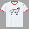Ultra Cotton ® Ringer T Shirt Thumbnail