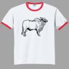 Ultra Cotton ® Ringer T Shirt Thumbnail