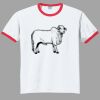 Ultra Cotton ® Ringer T Shirt Thumbnail