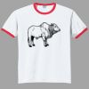Ultra Cotton ® Ringer T Shirt Thumbnail
