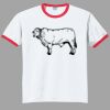 Ultra Cotton ® Ringer T Shirt Thumbnail
