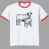 Ultra Cotton ® Ringer T Shirt Thumbnail