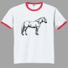Ultra Cotton ® Ringer T Shirt Thumbnail