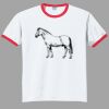Ultra Cotton ® Ringer T Shirt Thumbnail