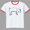 Ultra Cotton ® Ringer T Shirt Thumbnail