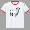 Ultra Cotton ® Ringer T Shirt Thumbnail