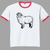 Ultra Cotton ® Ringer T Shirt Thumbnail