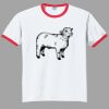 Ultra Cotton ® Ringer T Shirt Thumbnail