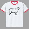 Ultra Cotton ® Ringer T Shirt Thumbnail
