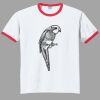Ultra Cotton ® Ringer T Shirt Thumbnail