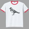 Ultra Cotton ® Ringer T Shirt Thumbnail