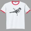 Ultra Cotton ® Ringer T Shirt Thumbnail