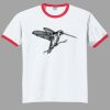 Ultra Cotton ® Ringer T Shirt Thumbnail