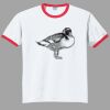 Ultra Cotton ® Ringer T Shirt Thumbnail