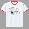 Ultra Cotton ® Ringer T Shirt Thumbnail