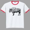 Ultra Cotton ® Ringer T Shirt Thumbnail